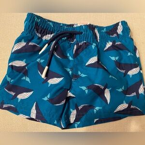 Cat & Jack Toddler Boys Swim Trunks - Size 12 months